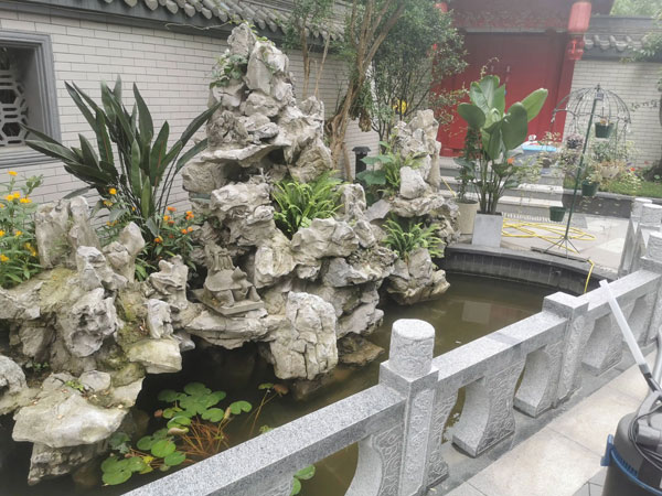 合肥鱼池假山
